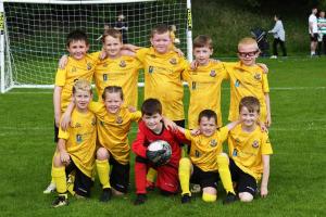 The Limavady United Colts under-8's team.