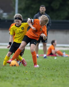 brandywell8